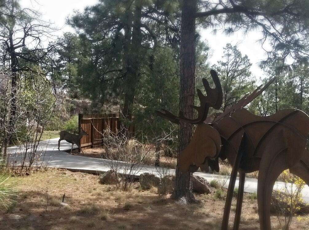 Pueblo Canyon Inn Лос-Аламос Екстер'єр фото